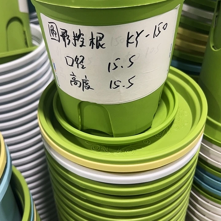 正品圆控口15高15混色10个带托