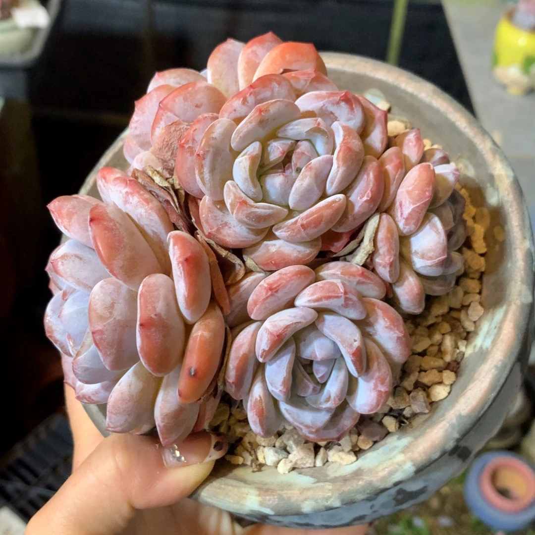 哈哈哈哈哈哈哈哈哈哈哈