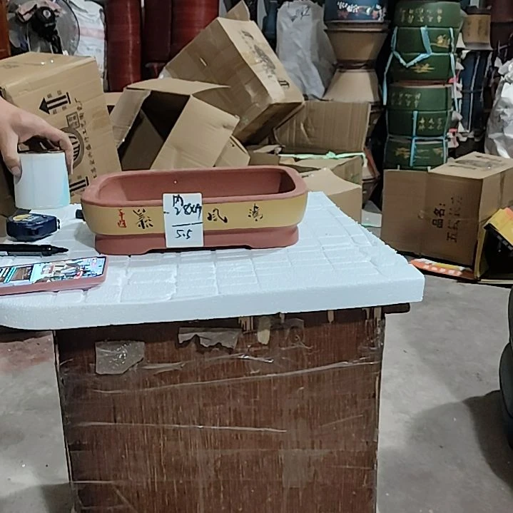 紫砂花盆老桩兰花君子兰