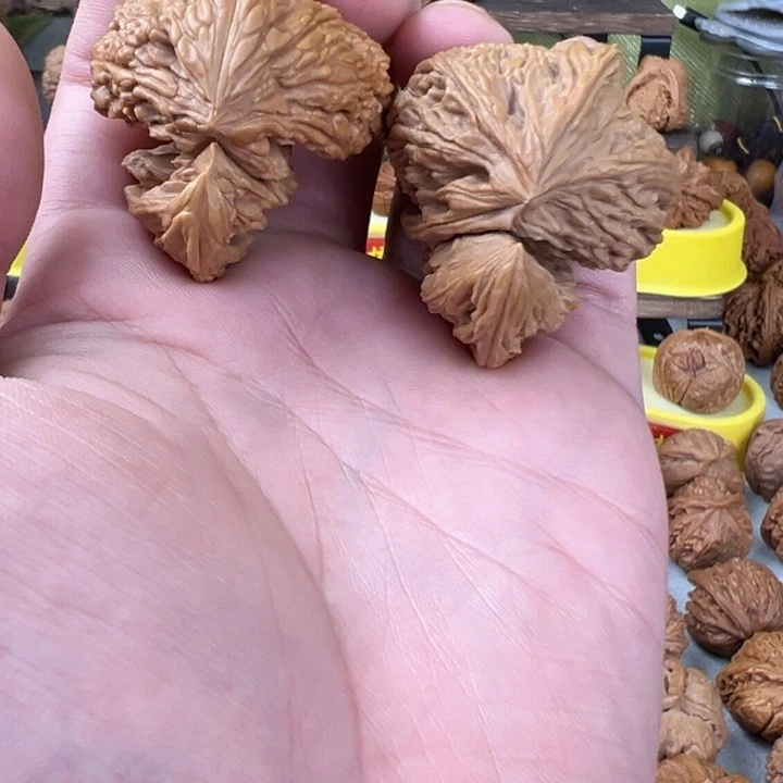 文玩核桃吊坠40尺全品无修南疆石犀牛角