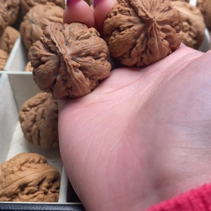 游***客霸王龙全品无修一刀没动