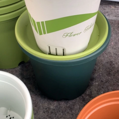 树脂@**i24口4个飘带带托