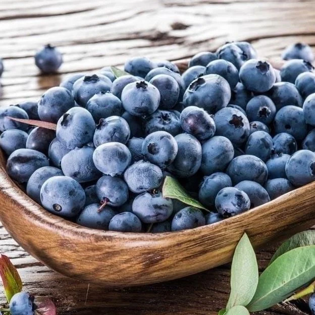 2桶 规格14+ 花香蓝莓 云南蓝莓 航空冷链 产地直发