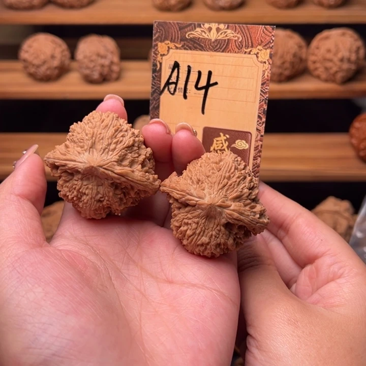 核桃a14。44全品满天星
