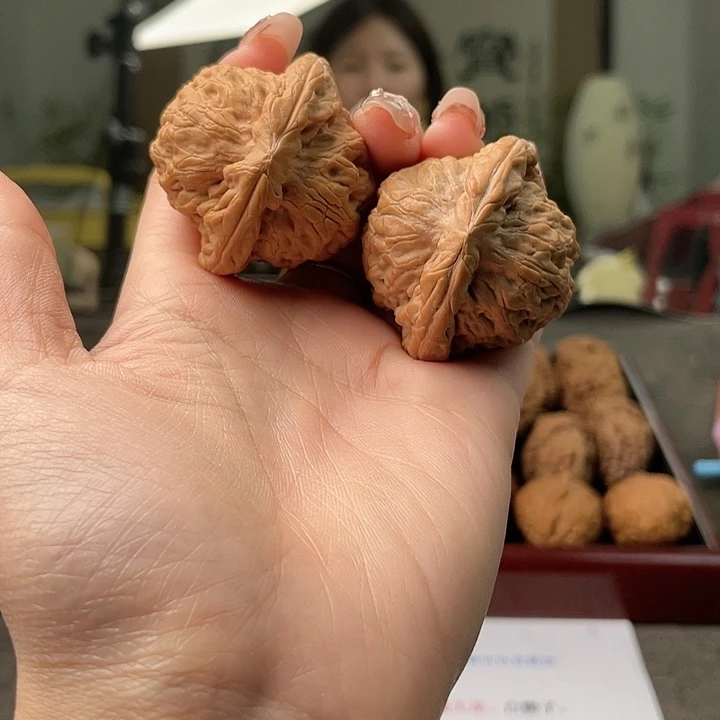 文玩核桃把件孤****金公子