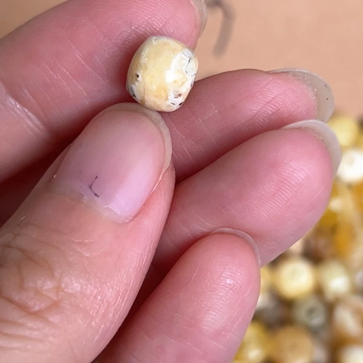 未镶嵌蜜蜡裸石8.5mm一个