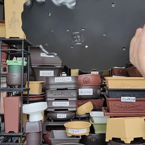 沧****田29.5*16*3异形盆紫檀色