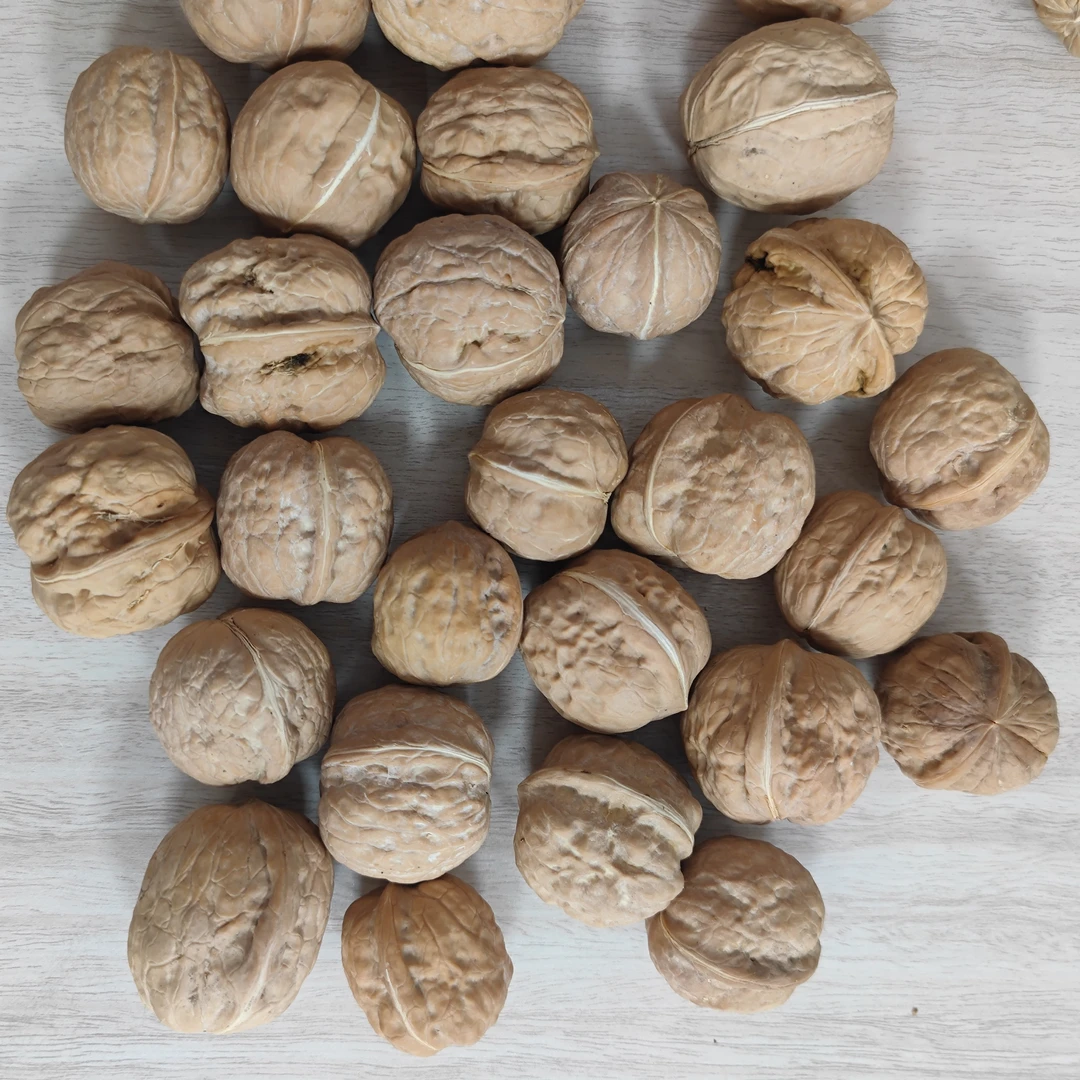 【买一斤送一斤]生核桃原味营养酥脆好吃零食核桃