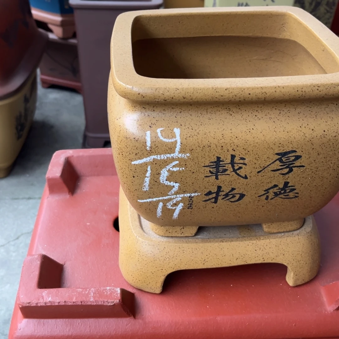 紫砂花盆盆景艺术