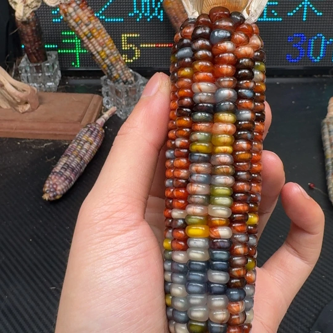 柏香籽/百香籽吊坠伴*