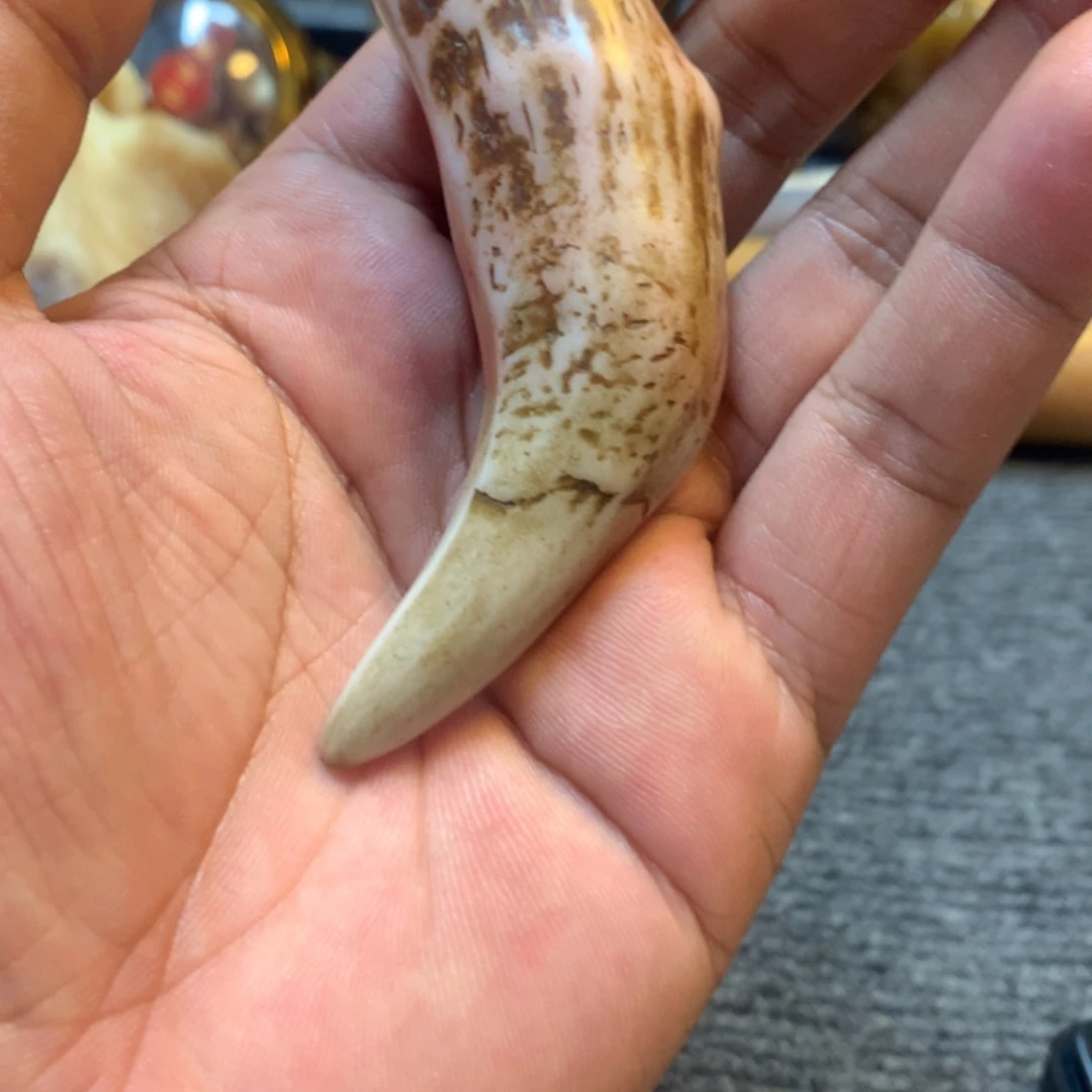 手串/手链驼骨A02牙牙8+灰色