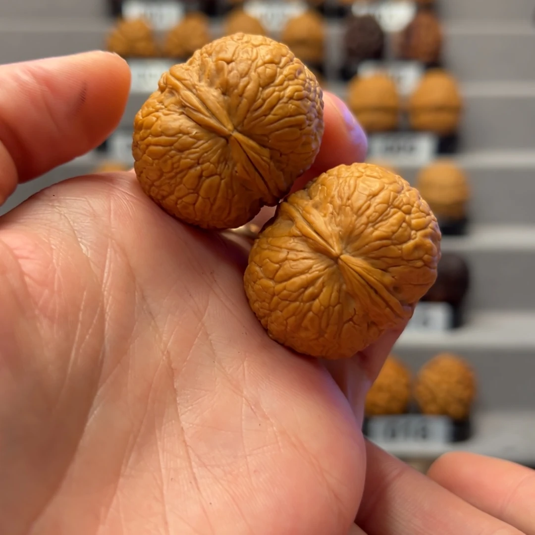 楠****文玩核桃把件38尺寸龙蛋