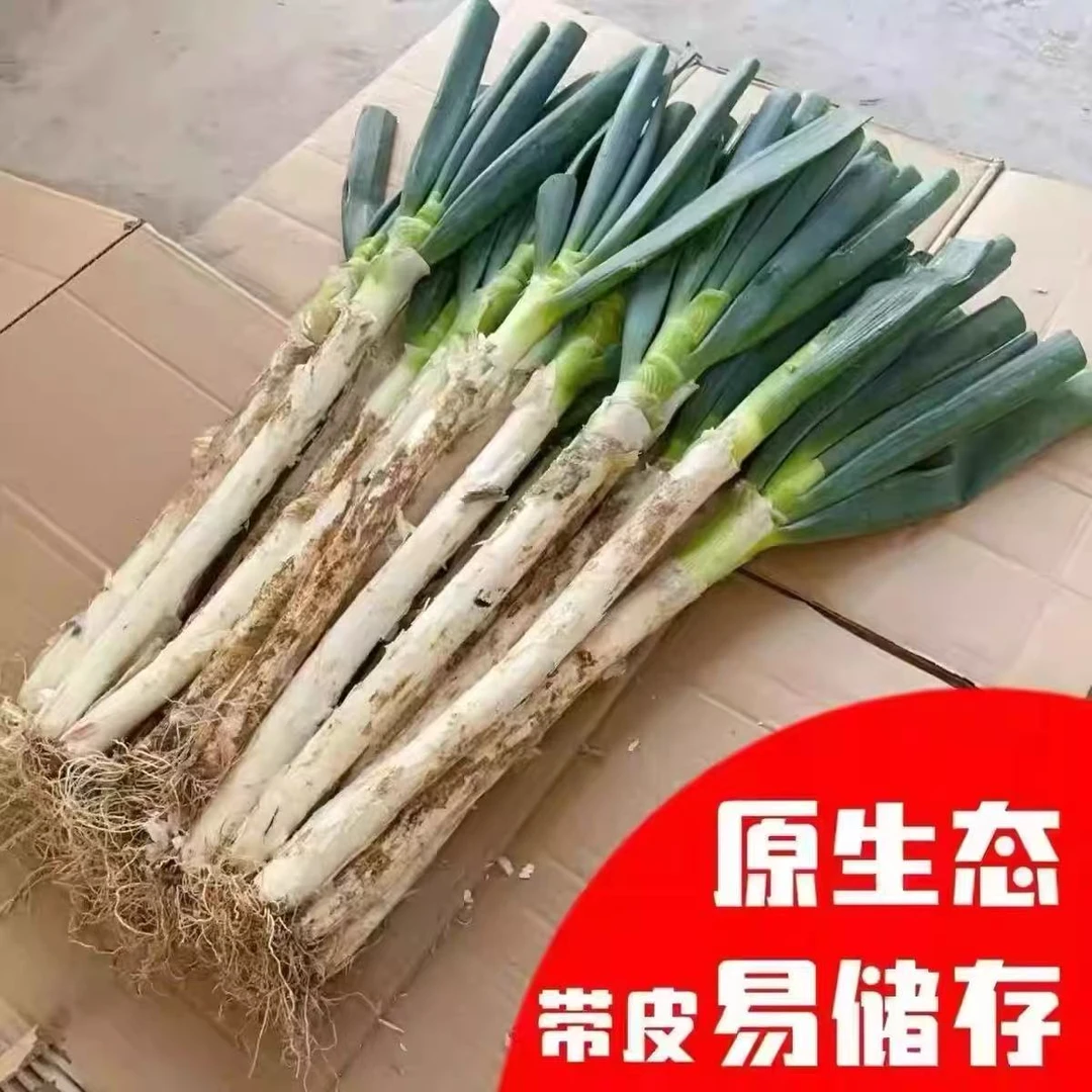 京东包邮   静海本地大葱现挖现发带皮去半叶