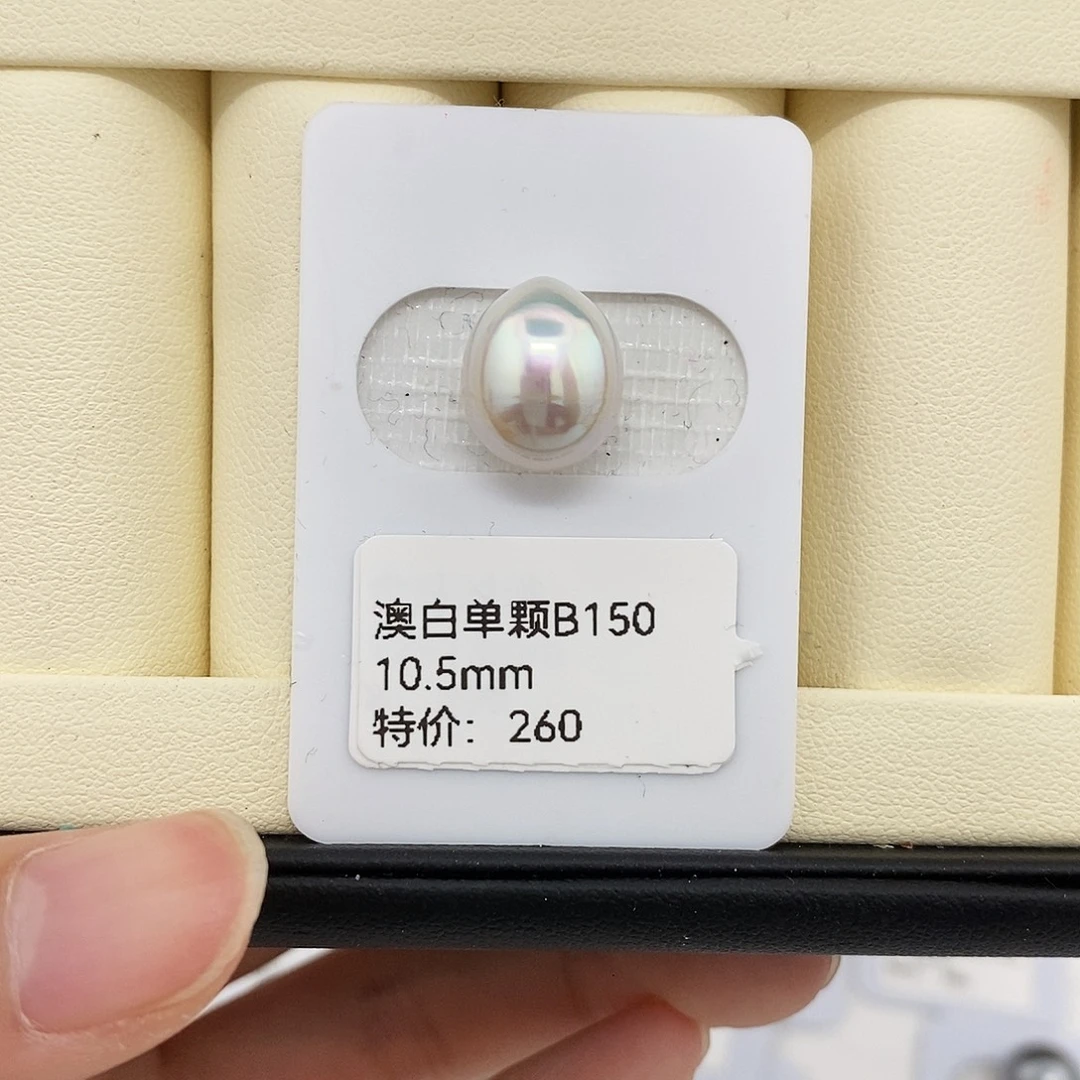 耳饰未镶嵌海水珍珠10.5mm澳白（无鉴赏）