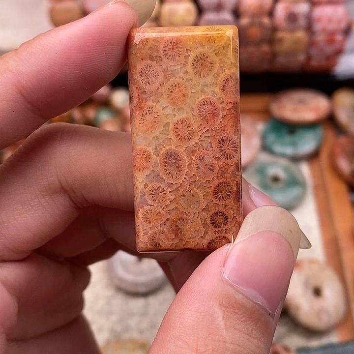 阿***琴硅化玉颈饰未镶嵌