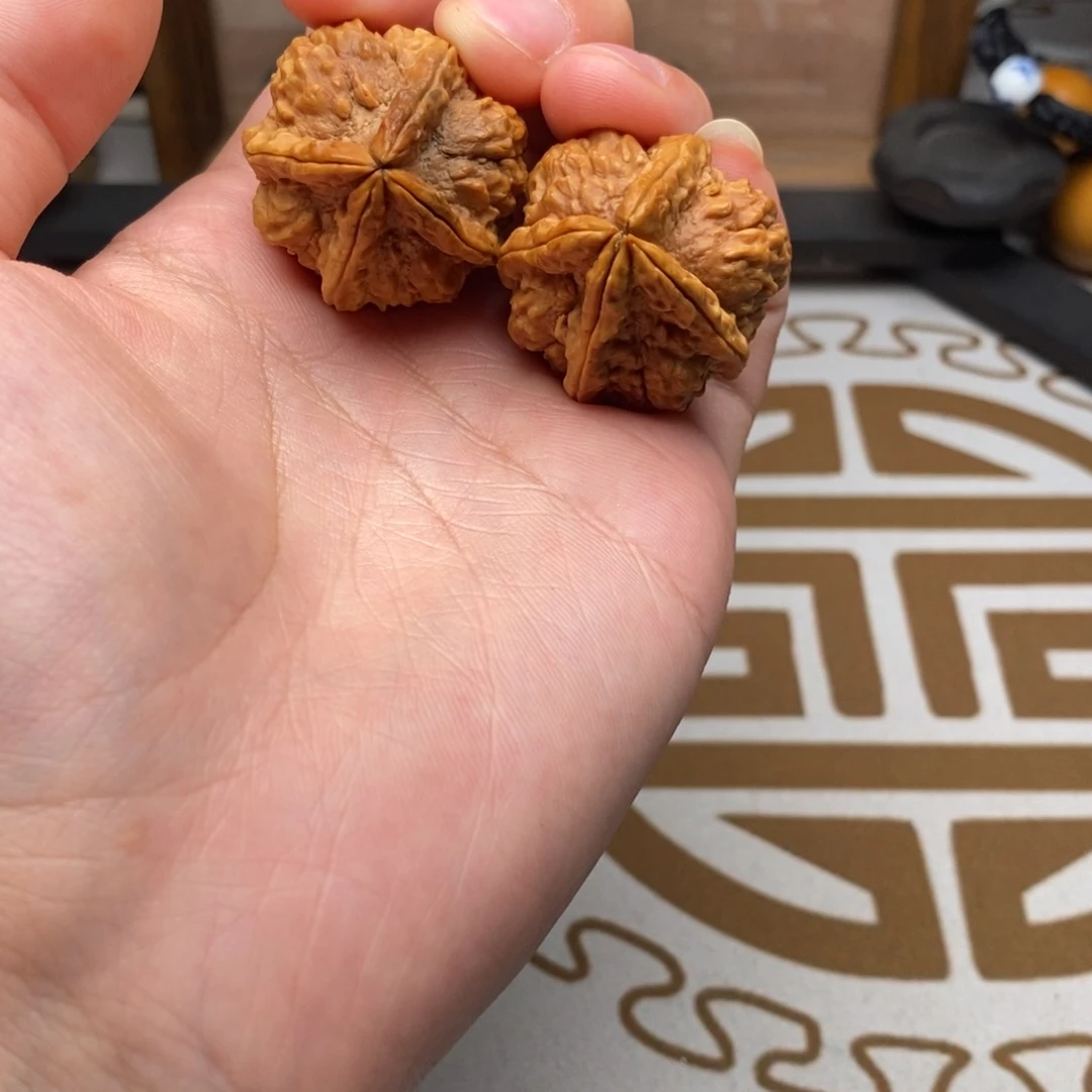 占车hhhhhhhhhhhhhhhhh