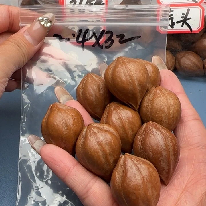 执***狂手串橄榄核橄榄核