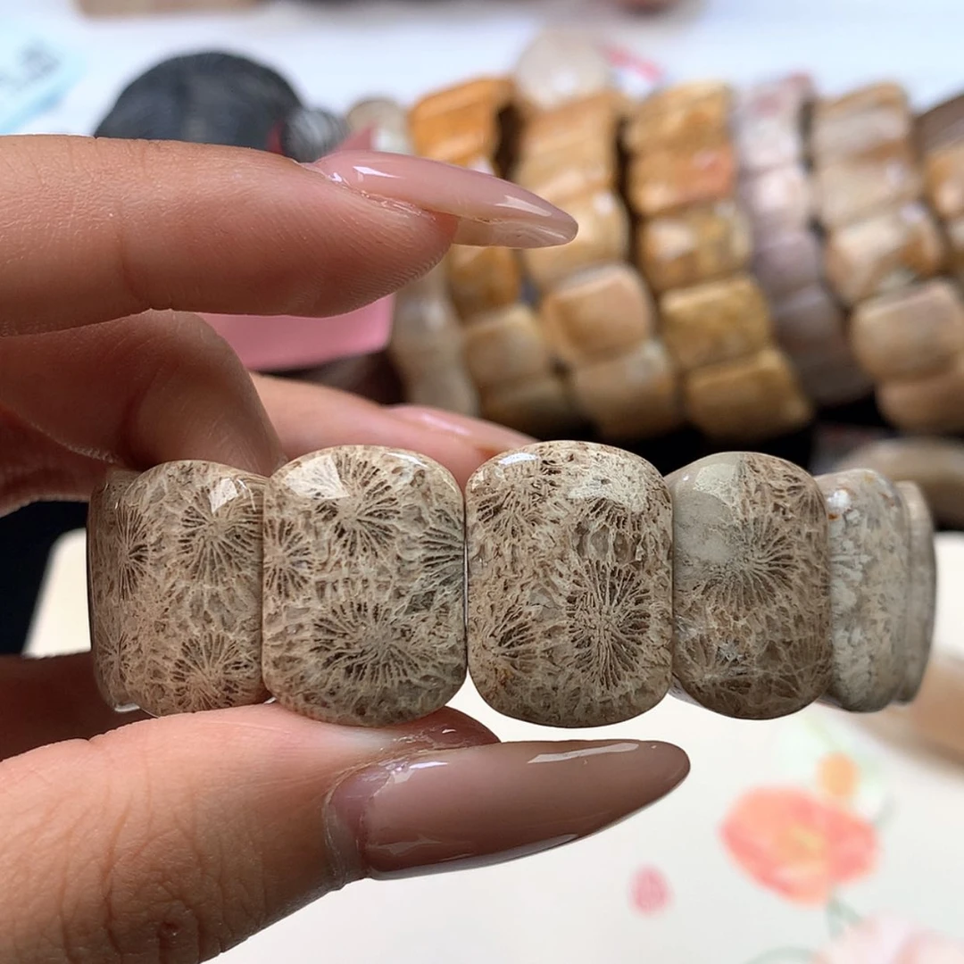 【闪购商品】颈饰未镶嵌硅化珊瑚（珊瑚玉）五****鱼