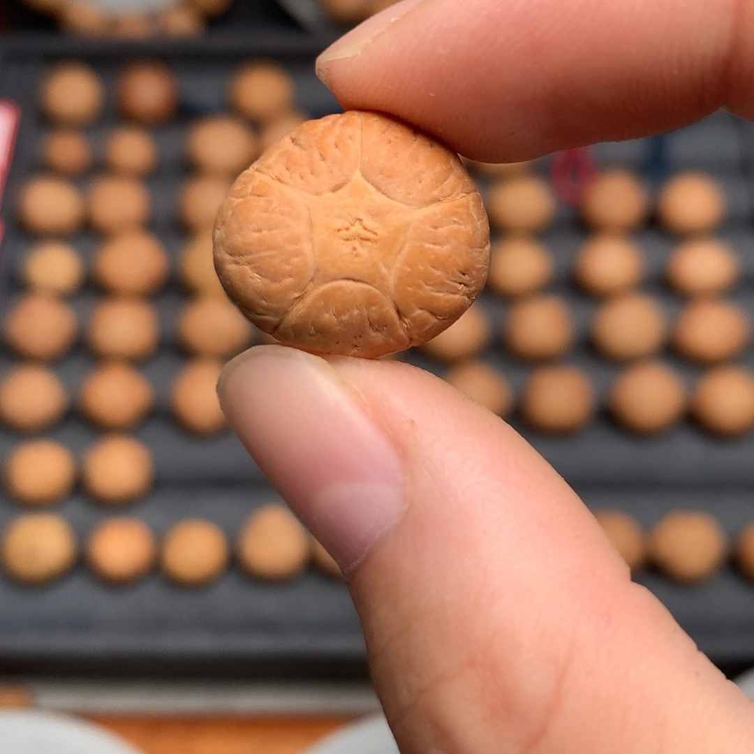 吊坠凤眼菩提19尺寸打孔不退不换