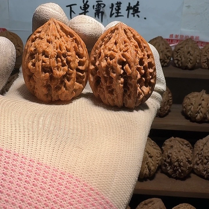 我***了秦岭野生无名鸡心