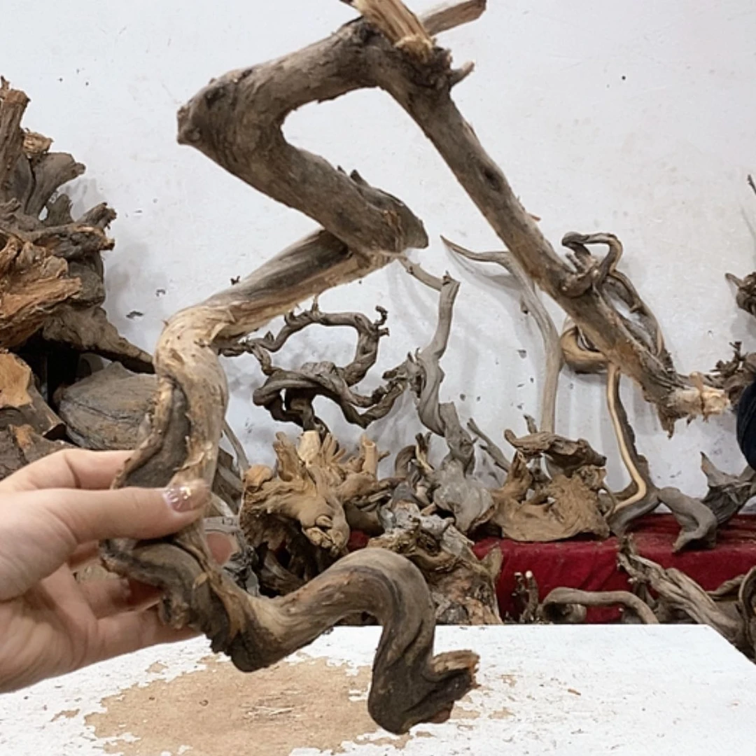 【闪购商品】柏木老****爱我们都是在这里关注起来