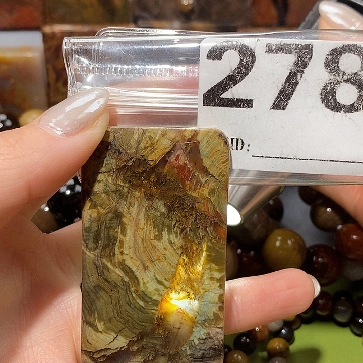 硅化玉未镶嵌天然北票树化玉吊坠