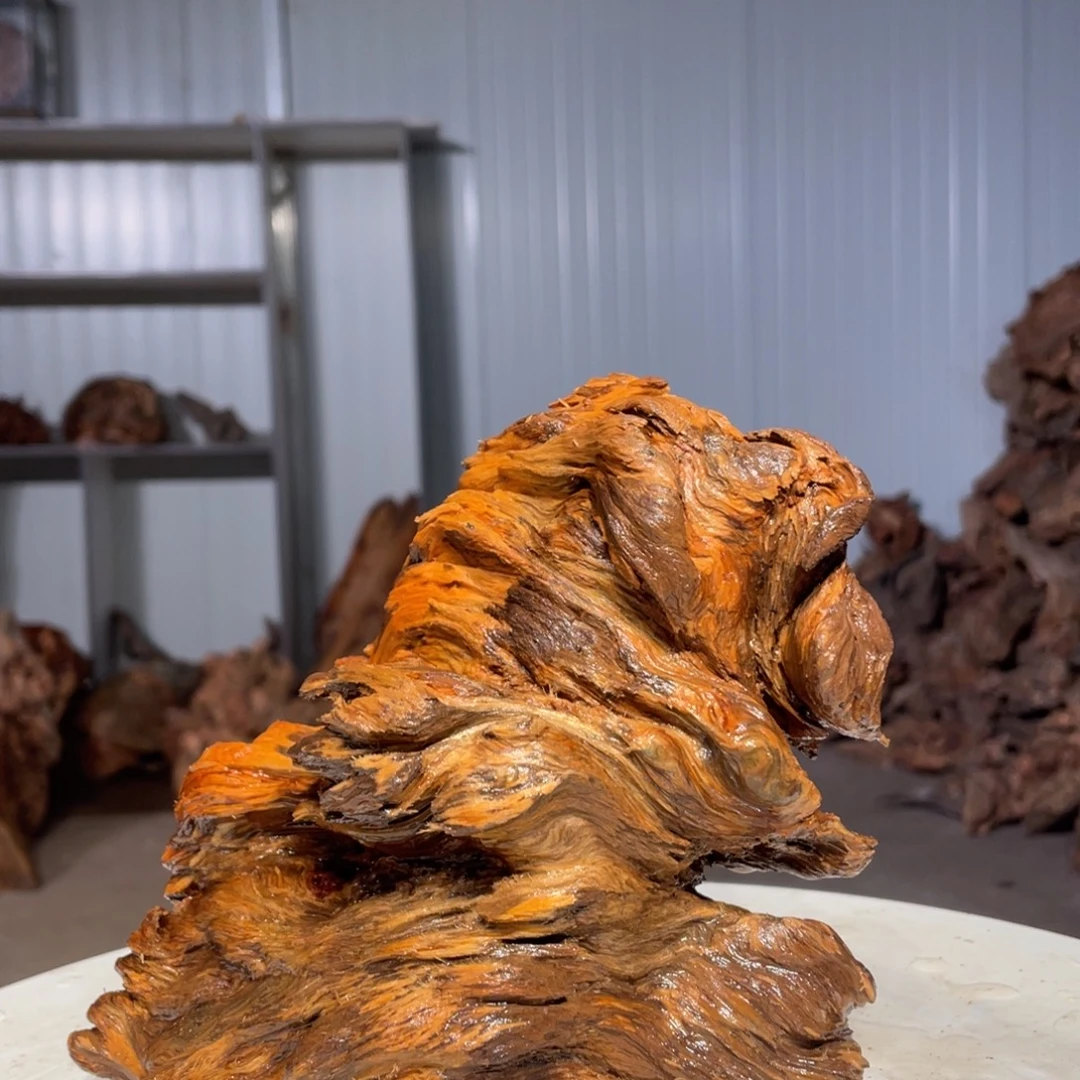 等***树脂＋木头猛子琥珀木摆件4