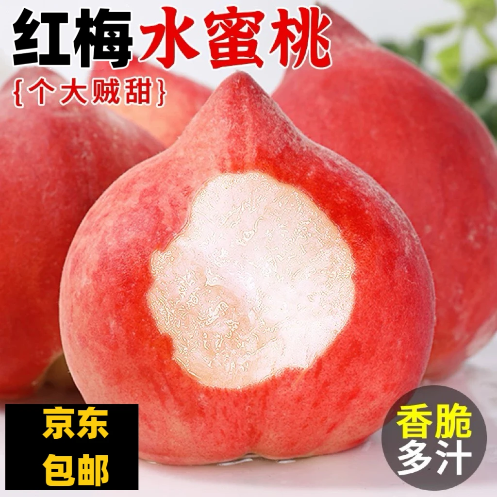 【头茬现摘】京东包邮正宗红梅爆汁水蜜桃巨无霸2斤水蜜桃河北省