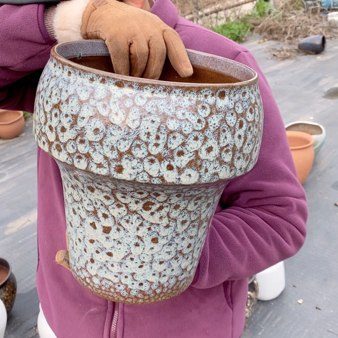 口21高28～～～～～～～～