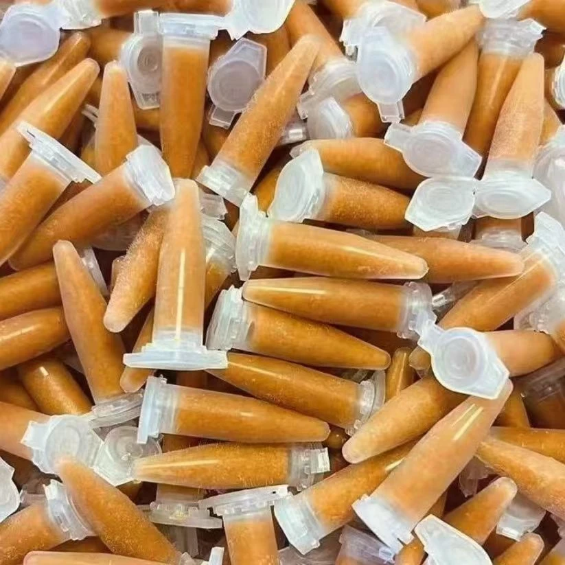 冰冻丰年虾幼虫鱼食孔雀鱼，小型鱼，水花，青鳉鱼，饲料开口营养卵