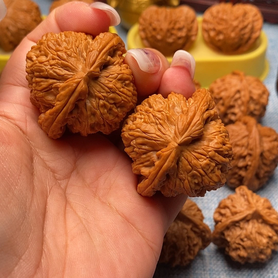 把件文玩核桃毕业白狮子44.8尺全品