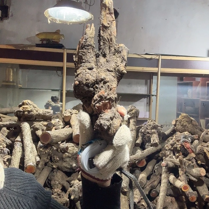 黑***队香榧木火琉璃的故事在这里上演