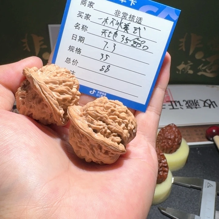 一****天地全品无修编号561