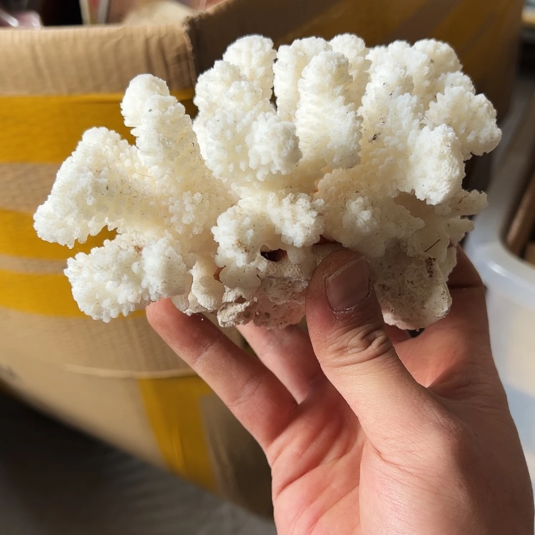 Z***强非洲紫檀（红花梨）