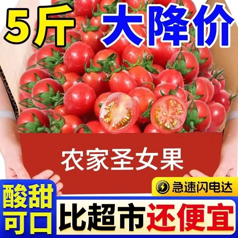 山东新鲜自然熟圣女果酸甜可口孕妇水果