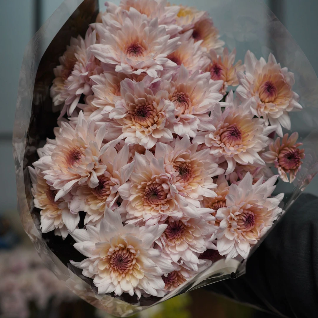 【顺丰发货】奶油蛋糕雏菊鲜花N单一个运费自选品种