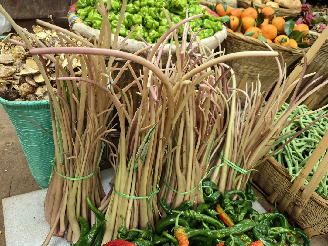 云南农家自种芋头杆