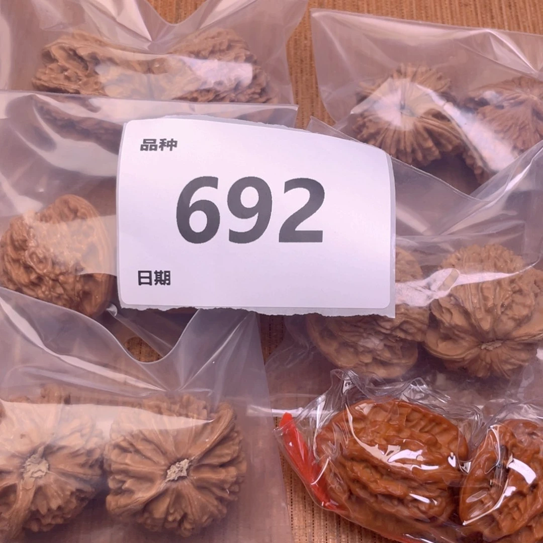 文玩核桃把件692号6对