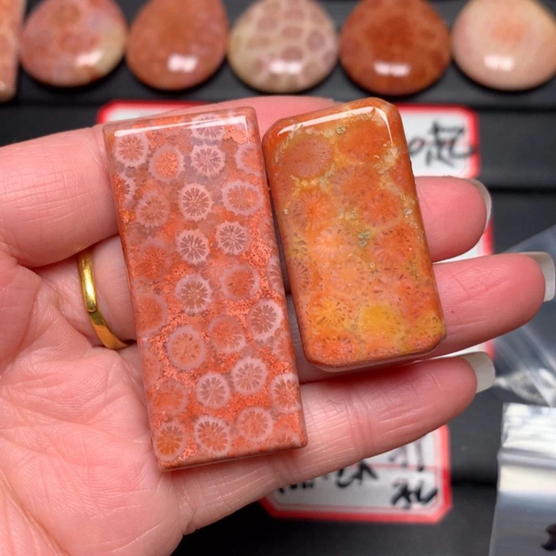 【闪购商品】硅化玉颈饰未镶嵌S*