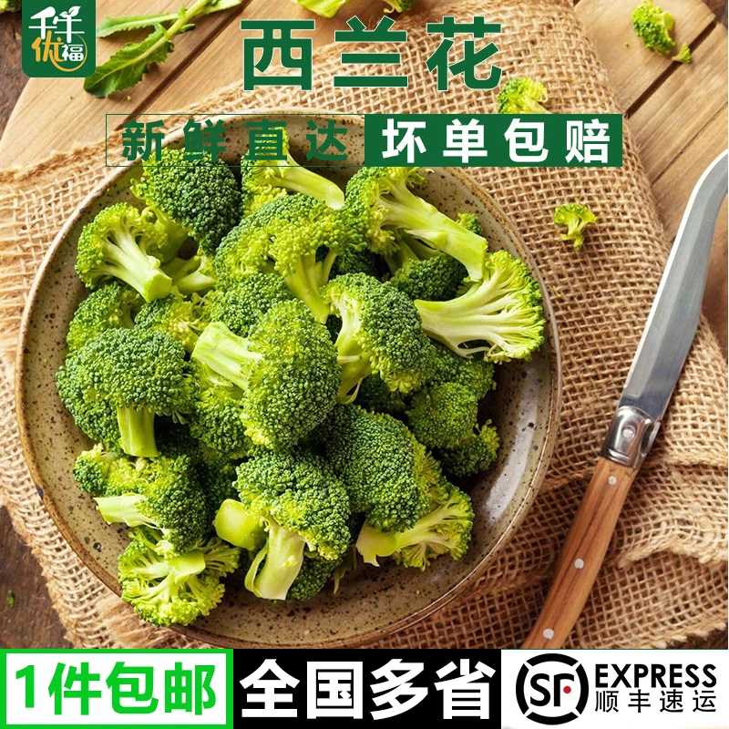 千牛优福西兰花1-5斤 小朵西兰花朵 脆嫩青花菜绿花菜西蓝花椰菜