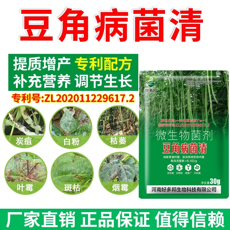 豆角病菌清专利配方豆角锈斑炭疽青枯白粉灰霉正品直销微生物菌剂