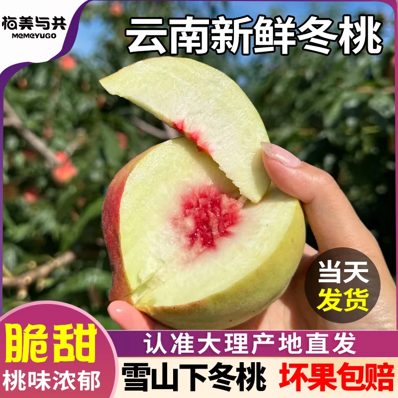 云南大理小冬桃脆甜多汁离核红心当季新鲜水果