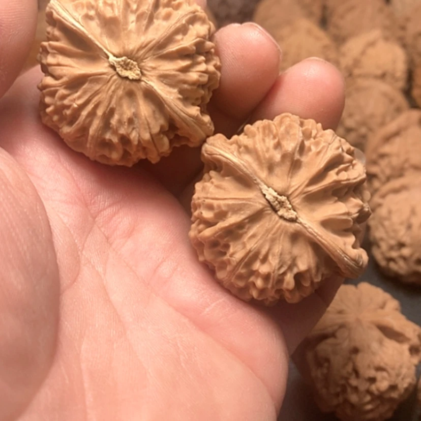 【闪购商品】潇****。宫灯狮