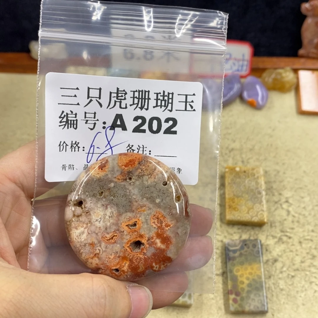 硅化珊瑚（珊瑚玉）1未镶嵌沧**舟