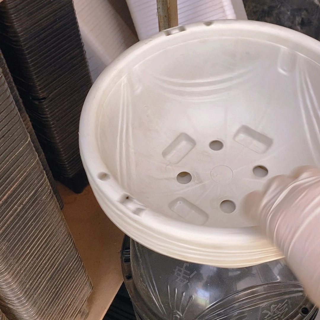 塑料新280白吊兰盆4个