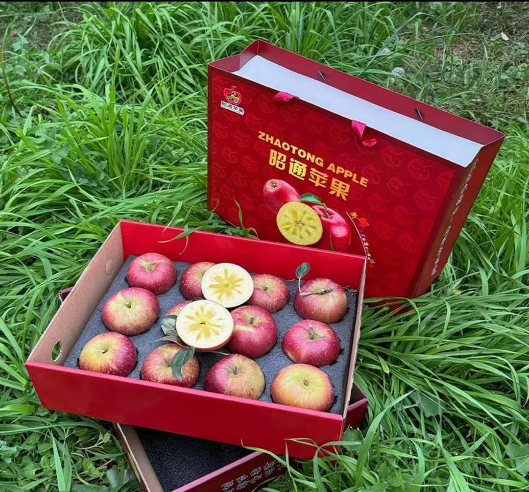 精品礼盒装中秋送礼云南昭通丑苹果冰糖心水果现摘净重6斤以上