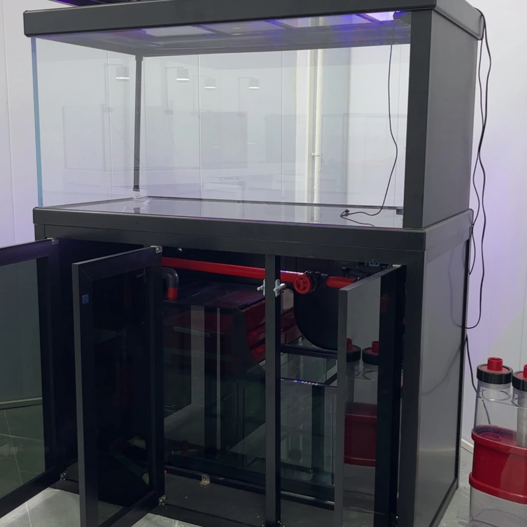 我想知道这一切我是不是已经