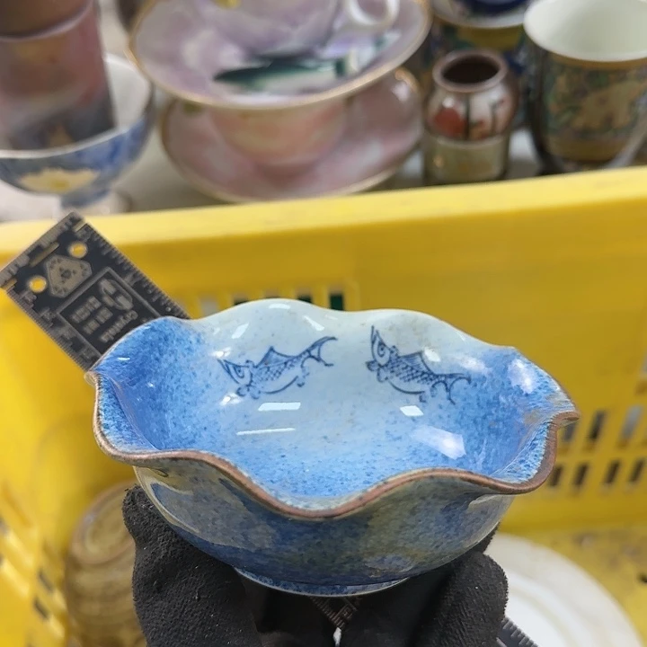 碗开播啦….开播啦