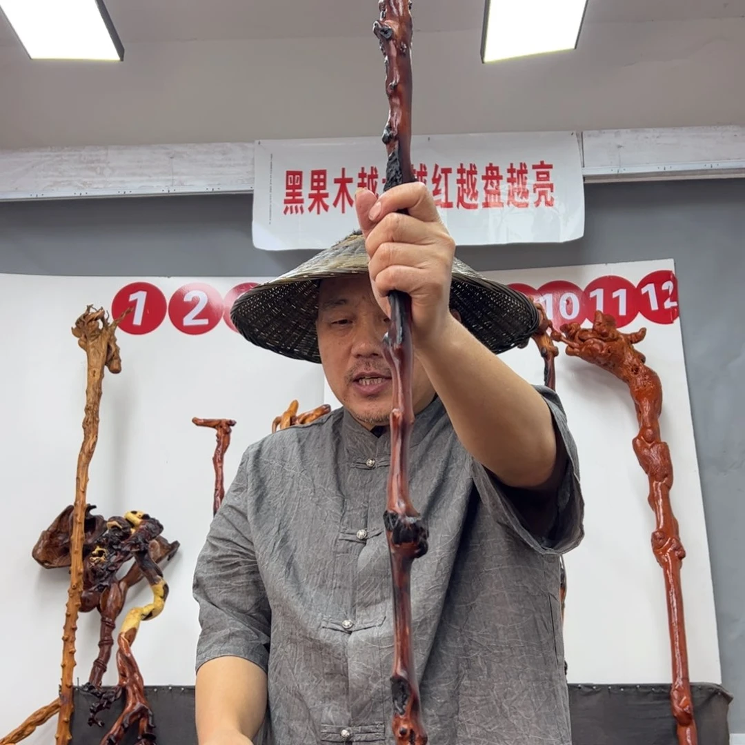 小***楠黑果木其他黑果木270
