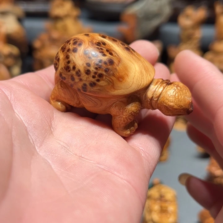 柏木（崖柏）点点关注